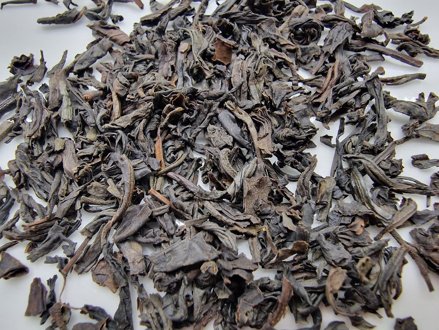 Lapsang Souchong - Smoked, Organic [Black Tea]